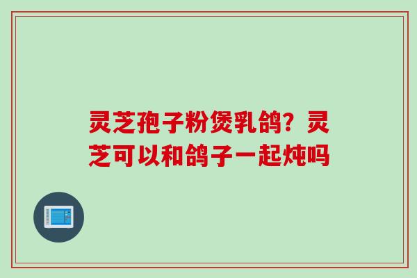 灵芝孢子粉煲乳鸽？灵芝可以和鸽子一起炖吗