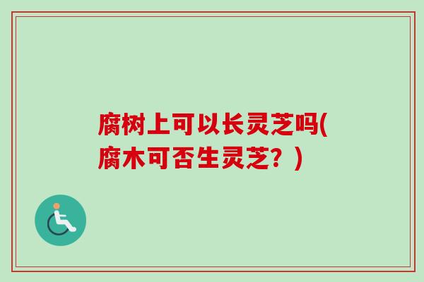腐树上可以长灵芝吗(腐木可否生灵芝？)