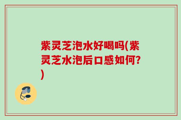 紫灵芝泡水好喝吗(紫灵芝水泡后口感如何？)
