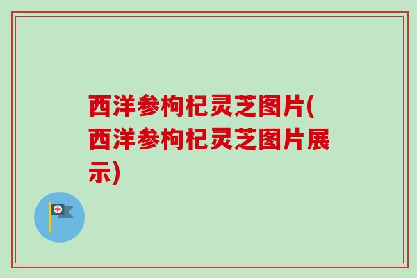 西洋参枸杞灵芝图片(西洋参枸杞灵芝图片展示)
