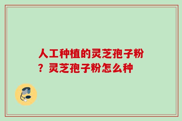 人工种植的灵芝孢子粉？灵芝孢子粉怎么种