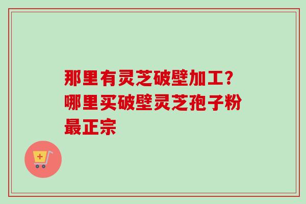 那里有灵芝破壁加工？哪里买破壁灵芝孢子粉最正宗