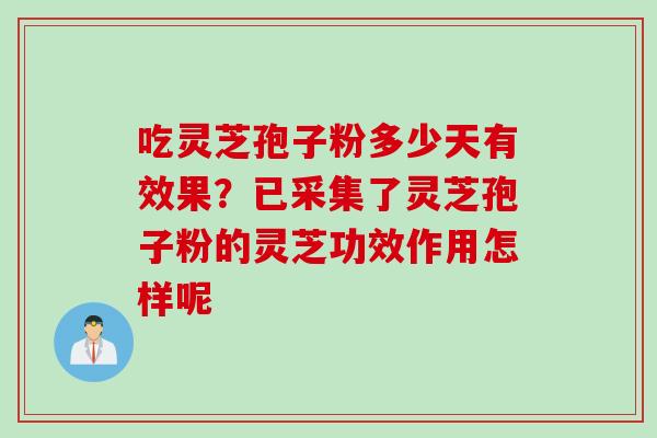 吃灵芝孢子粉多少天有效果？已采集了灵芝孢子粉的灵芝功效作用怎样呢