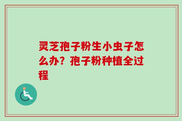 灵芝孢子粉生小虫子怎么办？孢子粉种植全过程