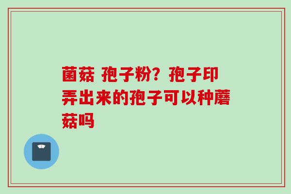 菌菇 孢子粉？孢子印弄出来的孢子可以种蘑菇吗