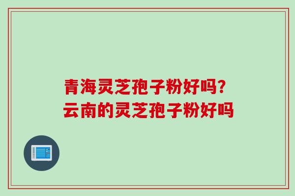 青海灵芝孢子粉好吗？云南的灵芝孢子粉好吗
