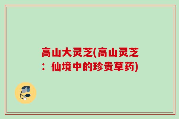 高山大灵芝(高山灵芝：仙境中的珍贵草药)