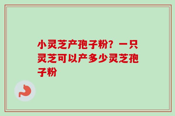 小灵芝产孢子粉？一只灵芝可以产多少灵芝孢子粉
