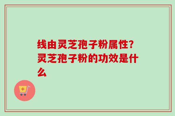 线由灵芝孢子粉属性？灵芝孢子粉的功效是什么
