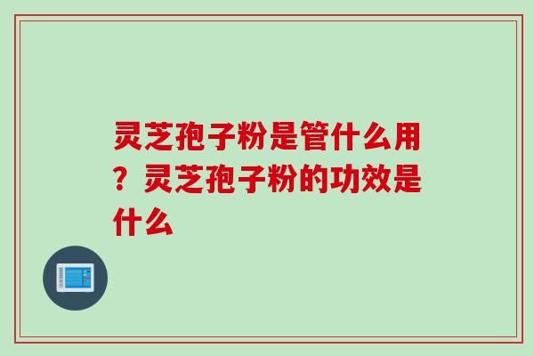 灵芝孢子粉是管什么用？灵芝孢子粉的功效是什么