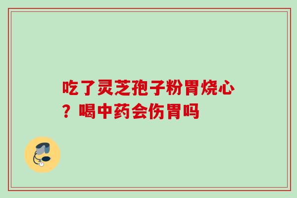 吃了灵芝孢子粉胃烧心？喝中药会伤胃吗