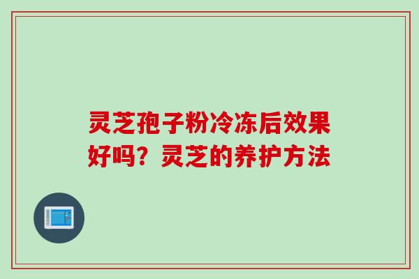 灵芝孢子粉冷冻后效果好吗？灵芝的养护方法