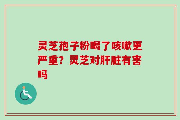 灵芝孢子粉喝了咳嗽更严重？灵芝对肝脏有害吗