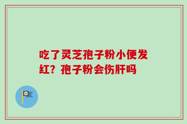 吃了灵芝孢子粉小便发红？孢子粉会伤肝吗