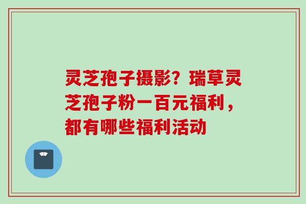 灵芝孢子摄影？瑞草灵芝孢子粉一百元福利，都有哪些福利活动