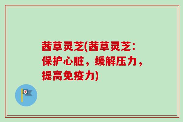 茜草灵芝(茜草灵芝：保护心脏，缓解压力，提高免疫力)