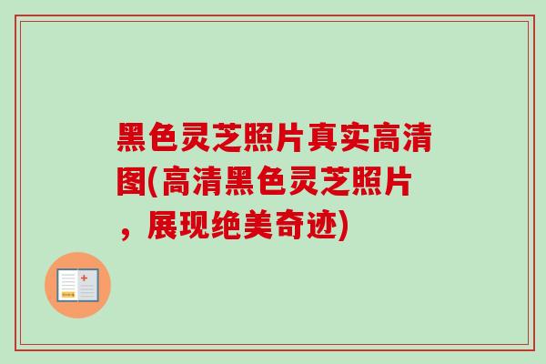 黑色灵芝照片真实高清图(高清黑色灵芝照片，展现绝美奇迹)