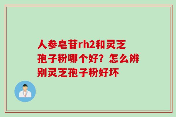 人参皂苷rh2和灵芝孢子粉哪个好？怎么辨别灵芝孢子粉好坏
