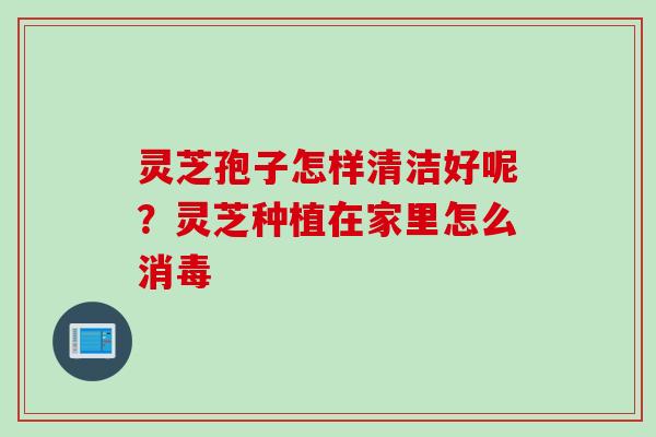 灵芝孢子怎样清洁好呢？灵芝种植在家里怎么消毒