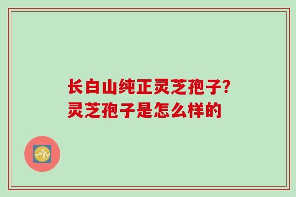 长白山纯正灵芝孢子？灵芝孢子是怎么样的