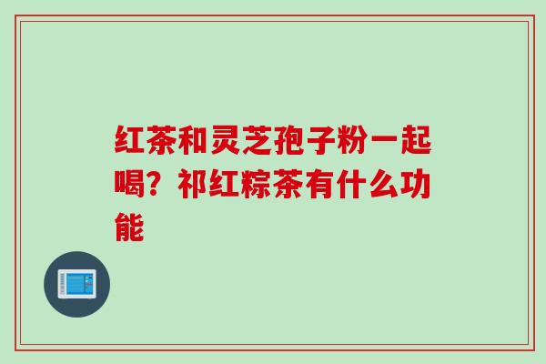 红茶和灵芝孢子粉一起喝？祁红粽茶有什么功能