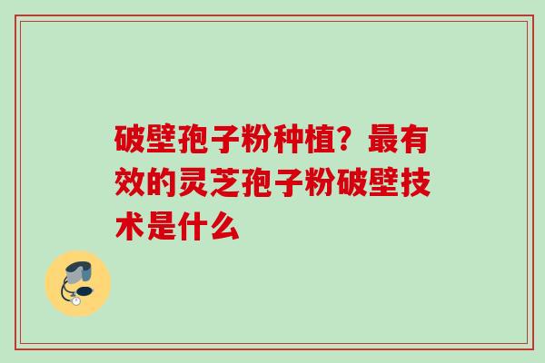 破壁孢子粉种植？最有效的灵芝孢子粉破壁技术是什么