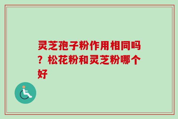 灵芝孢子粉作用相同吗?松花粉和灵芝粉哪个好 灵芝孢子粉作用相同吗?松花粉和灵芝粉哪个好
