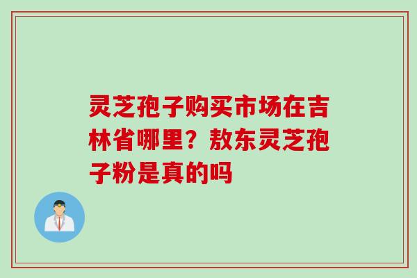 灵芝孢子购买市场在吉林省哪里？敖东灵芝孢子粉是真的吗