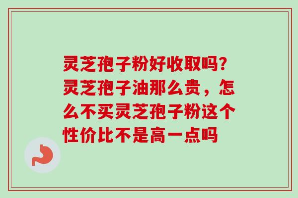 灵芝孢子粉好收取吗？灵芝孢子油那么贵，怎么不买灵芝孢子粉这个性价比不是高一点吗