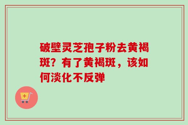 破壁灵芝孢子粉去黄褐斑？有了黄褐斑，该如何淡化不反弹