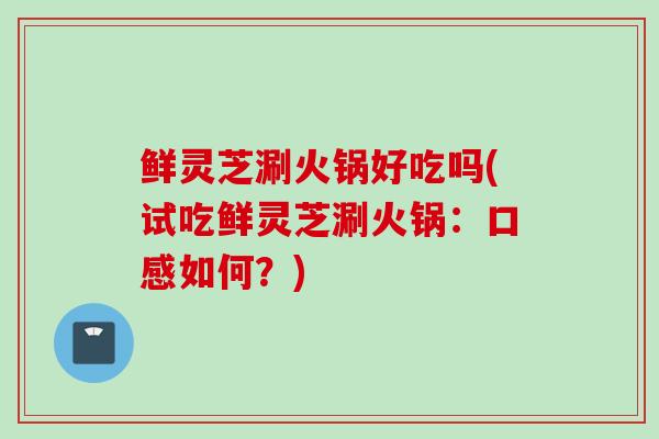 鲜灵芝涮火锅好吃吗(试吃鲜灵芝涮火锅：口感如何？)