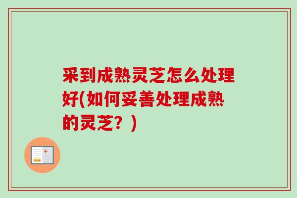 采到成熟灵芝怎么处理好(如何妥善处理成熟的灵芝？)
