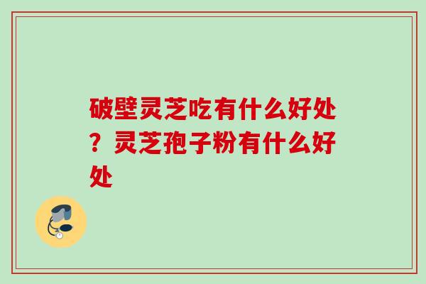 破壁灵芝吃有什么好处？灵芝孢子粉有什么好处
