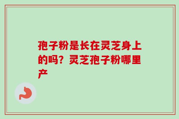 孢子粉是长在灵芝身上的吗?灵芝孢子粉哪里产 孢子粉是长在灵芝身上的吗?灵芝孢子粉哪里产