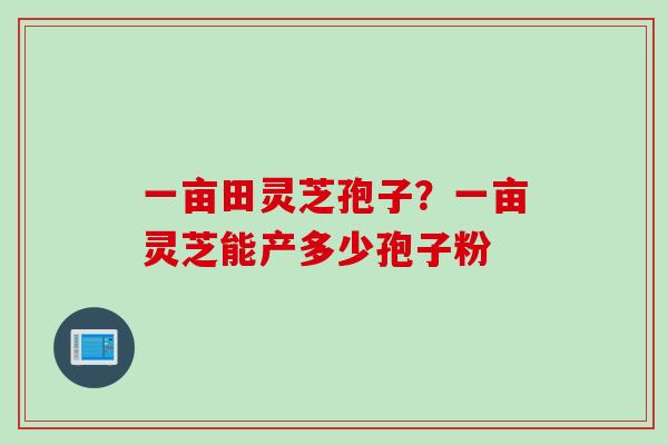 一亩田灵芝孢子？一亩灵芝能产多少孢子粉