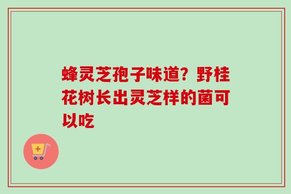蜂灵芝孢子味道？野桂花树长出灵芝样的菌可以吃