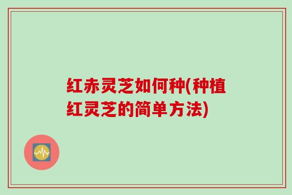 红赤灵芝如何种(种植红灵芝的简单方法)