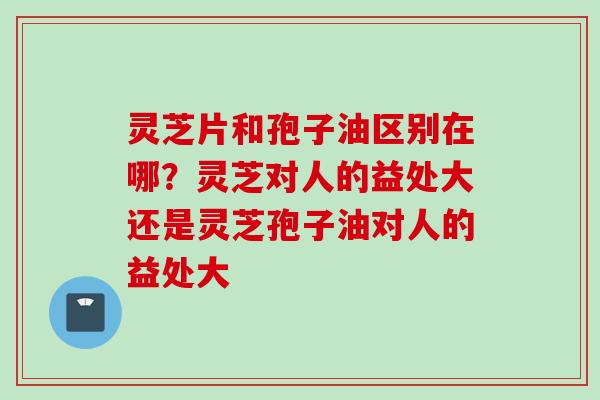 灵芝片和孢子油区别在哪？灵芝对人的益处大还是灵芝孢子油对人的益处大
