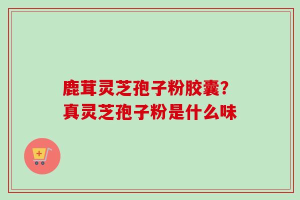 鹿茸灵芝孢子粉胶囊？真灵芝孢子粉是什么味