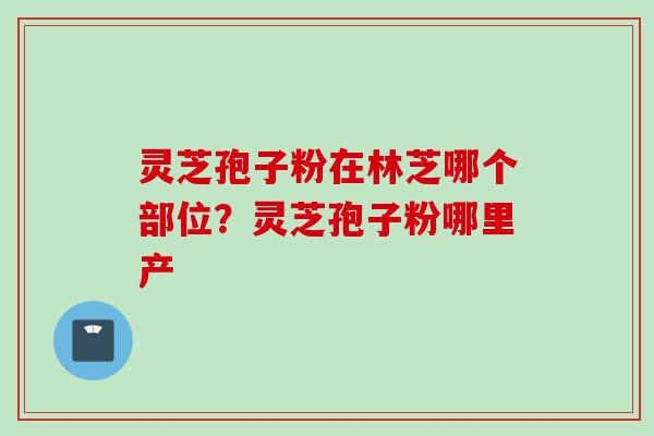 灵芝孢子粉在林芝哪个部位？灵芝孢子粉哪里产