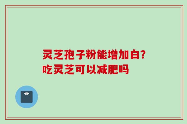 灵芝孢子粉能增加白？吃灵芝可以减肥吗