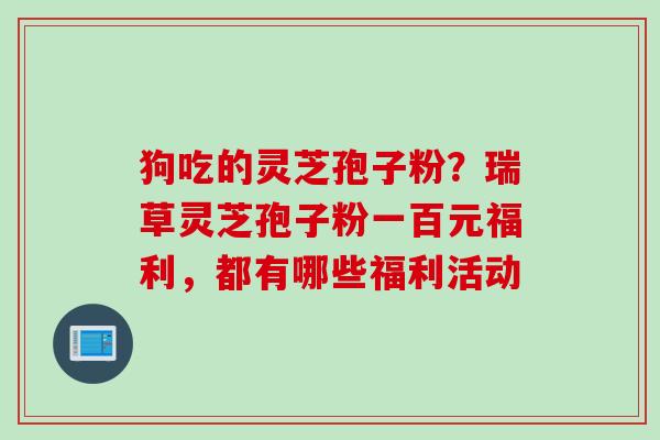 狗吃的灵芝孢子粉？瑞草灵芝孢子粉一百元福利，都有哪些福利活动