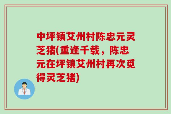中坪镇艾州村陈忠元灵芝猪(重逢千载，陈忠元在坪镇艾州村再次觅得灵芝猪)