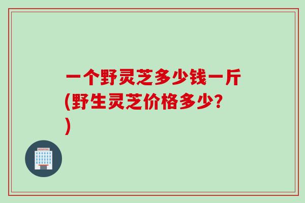 一个野灵芝多少钱一斤(野生灵芝价格多少？)