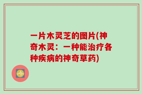 一片木灵芝的图片(神奇木灵：一种能治疗各种疾病的神奇草药)