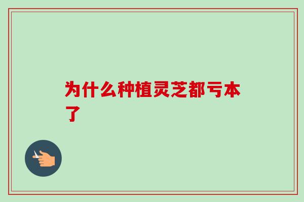 为什么种植灵芝都亏本了