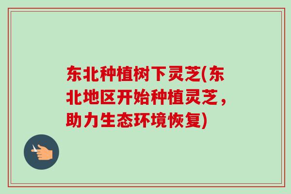 东北种植树下灵芝(东北地区开始种植灵芝，助力生态环境恢复)