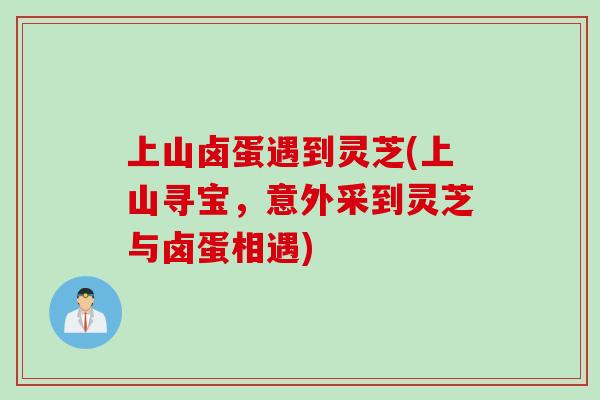 上山卤蛋遇到灵芝(上山寻宝，意外采到灵芝与卤蛋相遇)