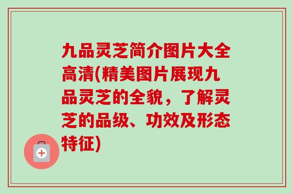 九品灵芝简介图片大全高清(精美图片展现九品灵芝的全貌,了解灵芝的品级、功效及形态特征)