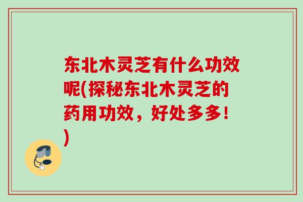东北木灵芝有什么功效呢(探秘东北木灵芝的药用功效，好处多多！)